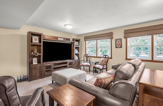 430 Park Pl, Mahtomedi, MN 55115 - photo 18