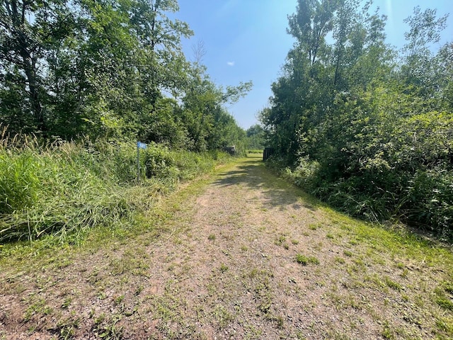 63872 Kingsdale Rd, New Dosey Twp, MN 55072 - photo 1