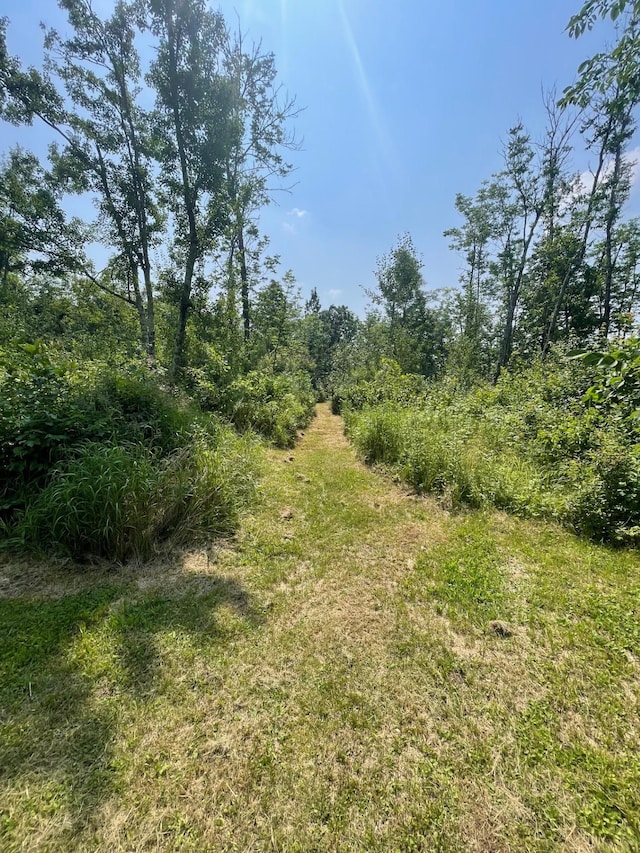 63872 Kingsdale Rd, New Dosey Twp, MN 55072 - photo 29