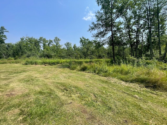 63872 Kingsdale Rd, New Dosey Twp, MN 55072 - photo 30