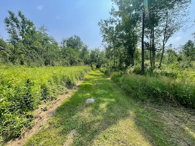 63872 Kingsdale Rd, New Dosey Twp, MN 55072 - photo 25