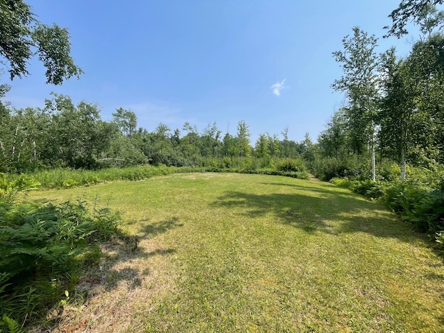 63872 Kingsdale Rd, New Dosey Twp, MN 55072 - photo 26