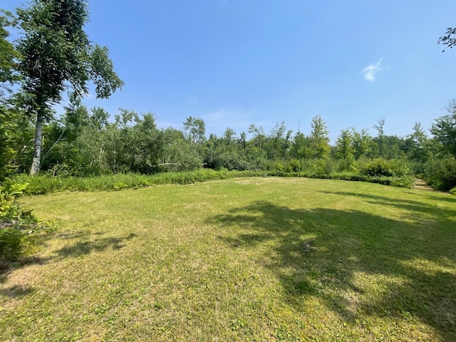 63872 Kingsdale Rd, New Dosey Twp, MN 55072 - photo 27