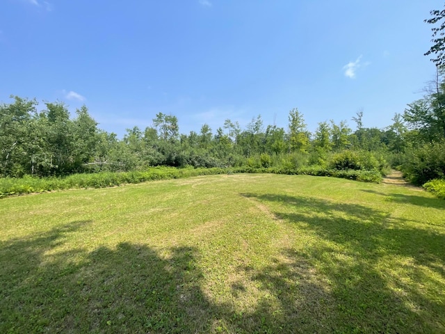63872 Kingsdale Rd, New Dosey Twp, MN 55072 - photo 28