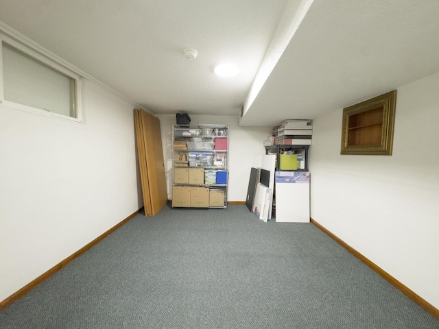 525 Maple Ln, Moorhead, MN 56560 - photo 22