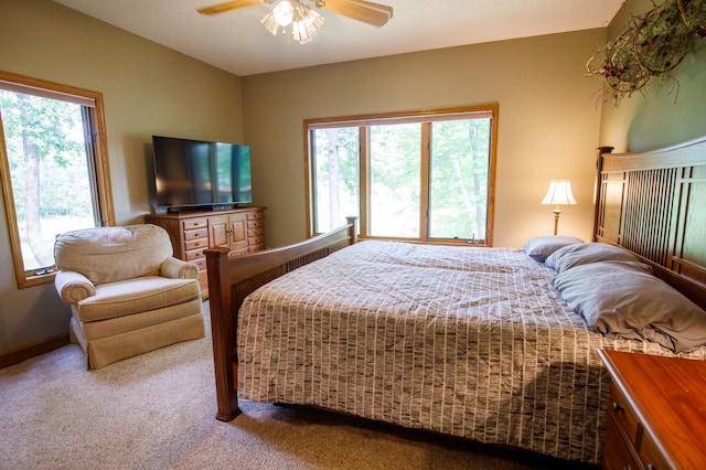 24172 Aspen Dr, Nisswa, MN 56468 - photo 13
