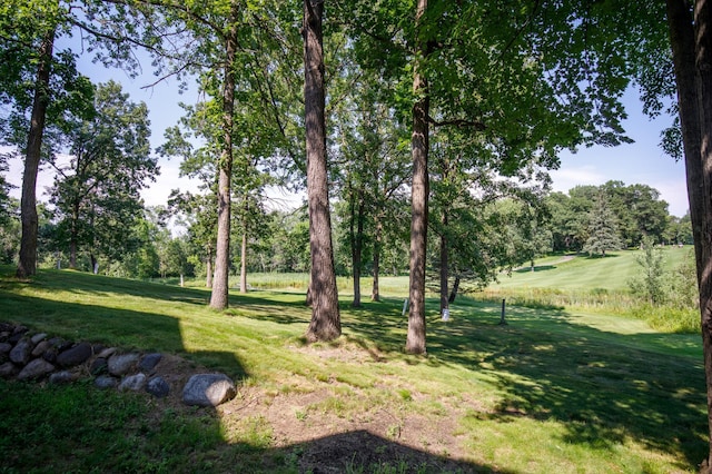 24172 Aspen Dr, Nisswa, MN 56468 - photo 40