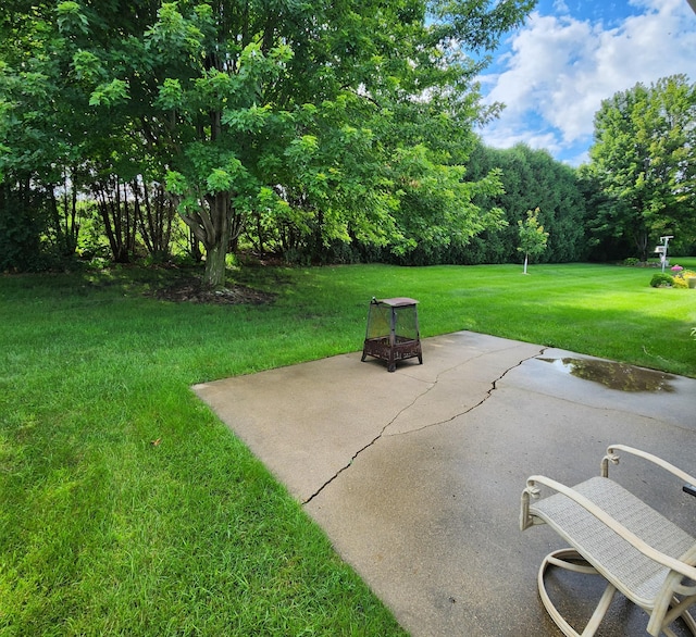 2608 10th St SW, Willmar, MN 56201 - photo 5