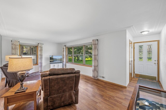 1151 132nd Ln NE, Blaine, MN 55434 - photo 4