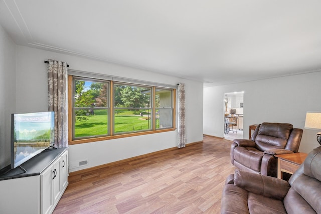 1151 132nd Ln NE, Blaine, MN 55434 - photo 7