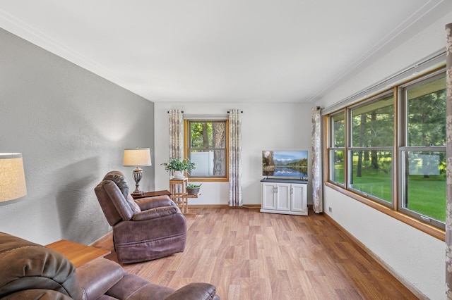 1151 132nd Ln NE, Blaine, MN 55434 - photo 8