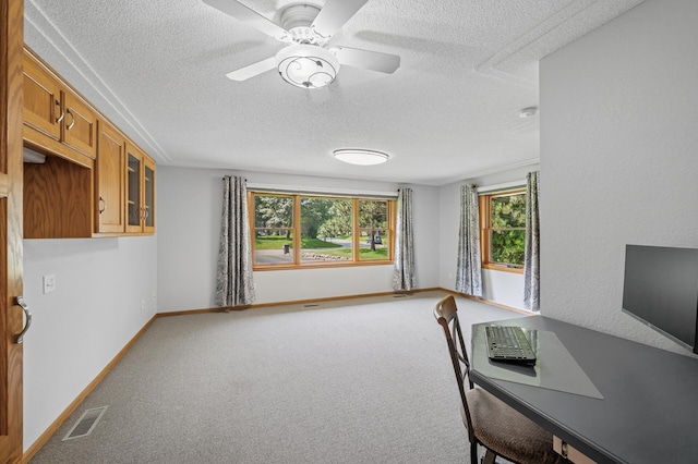 1151 132nd Ln NE, Blaine, MN 55434 - photo 18