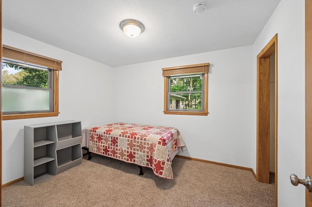 1151 132nd Ln NE, Blaine, MN 55434 - photo 25