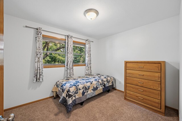 1151 132nd Ln NE, Blaine, MN 55434 - photo 28