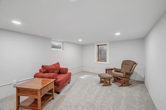 1151 132nd Ln NE, Blaine, MN 55434 - photo 34