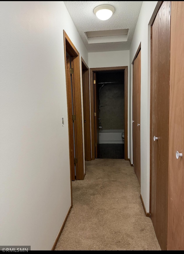 58 13th St, Waconia, MN 55387 - photo 5