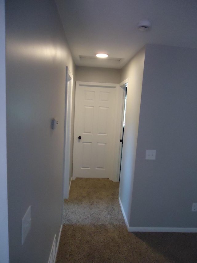8205 Queen Ave N, Brooklyn Park, MN 55444 - photo 7