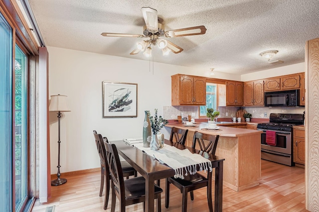 2883 117th Ln NW, Coon Rapids, MN 55433 - photo 6