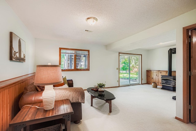 2883 117th Ln NW, Coon Rapids, MN 55433 - photo 15