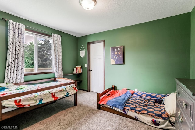 905 Beech Ln S, Annandale, MN 55302 - photo 13