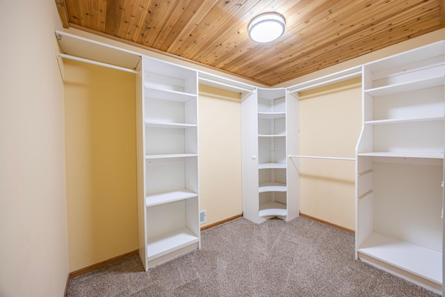6910 Park View Ln, Eden Prairie, MN 55346 - photo 31