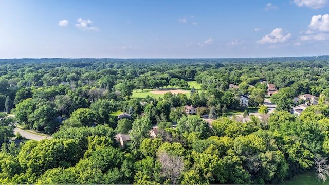 6910 Park View Ln, Eden Prairie, MN 55346 - photo 59