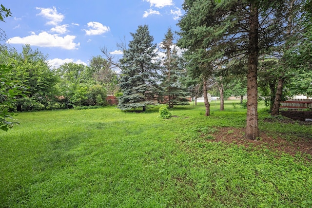 7201 73rd Ave N, Brooklyn Park, MN 55428 - photo 22
