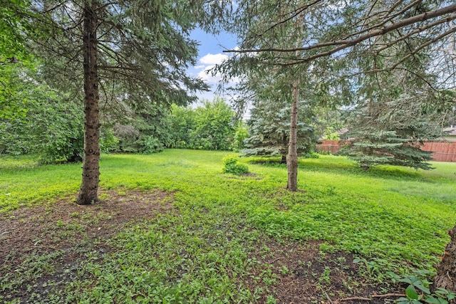 7201 73rd Ave N, Brooklyn Park, MN 55428 - photo 23