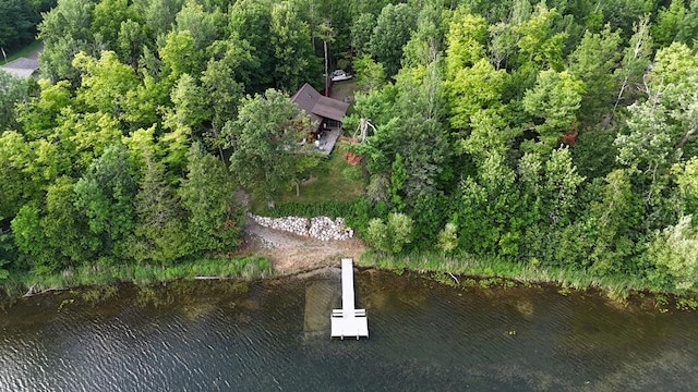 42135 Chase Lake Rd, Deer River Twp, MN 56636 - photo 1