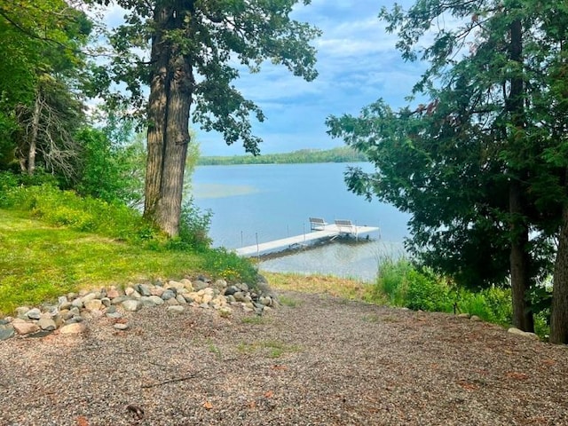 42135 Chase Lake Rd, Deer River Twp, MN 56636 - photo 9