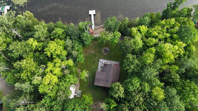 42135 Chase Lake Rd, Deer River Twp, MN 56636 - photo 25