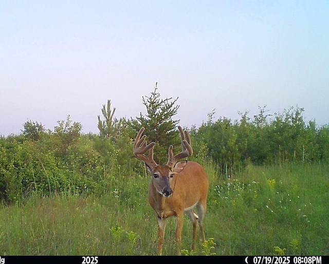 ABC 110th St, Menahga, MN 56464 - photo 1