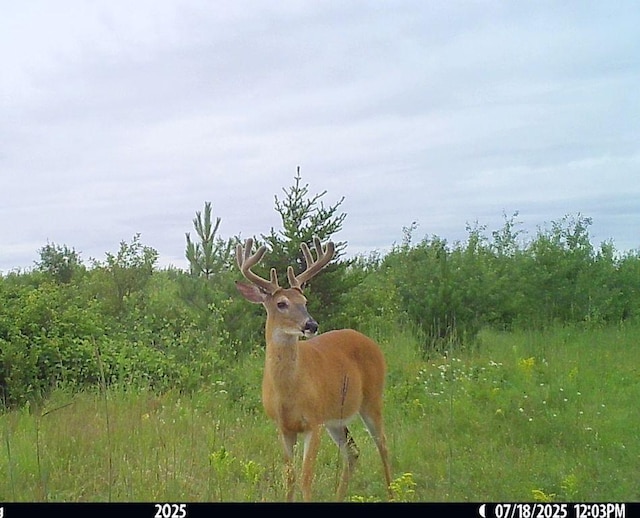 ABC 110th St, Menahga, MN 56464 - photo 7