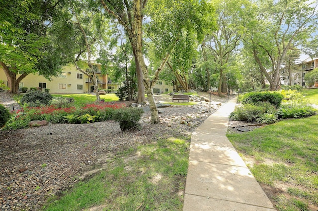 10311 Cedar Lake Rd Unit 313, Minnetonka, MN 55305 - photo 39