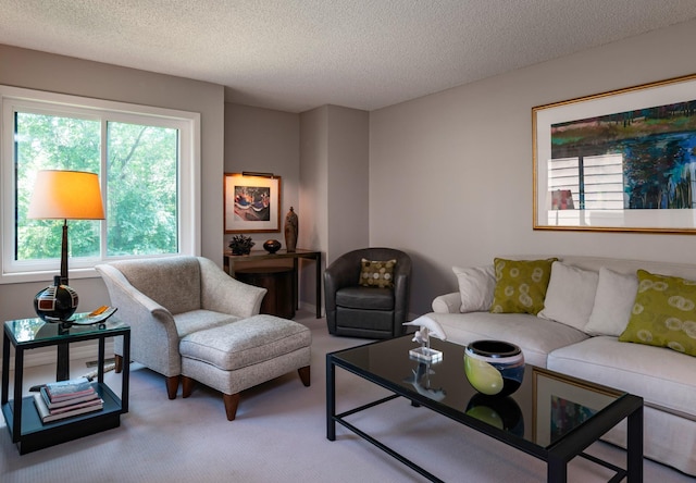 11270 36th Pl N, Plymouth, MN 55441 - photo 16