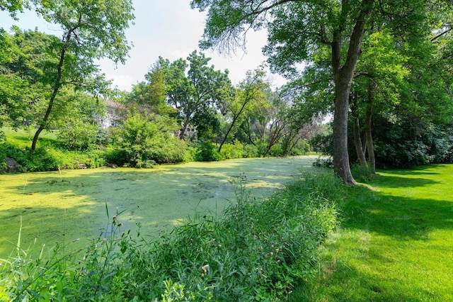 11270 36th Pl N, Plymouth, MN 55441 - photo 43