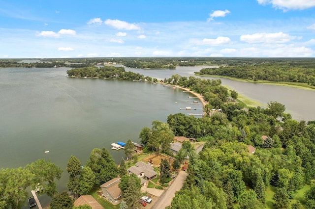 14144 Old Holt Ct, Chisago Lake Twp, MN 55045 - photo 15