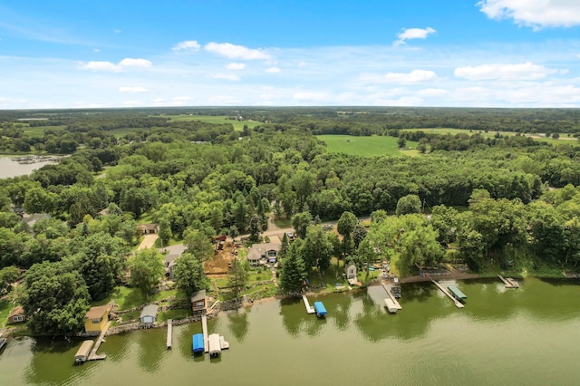 14144 Old Holt Ct, Chisago Lake Twp, MN 55045 - photo 16