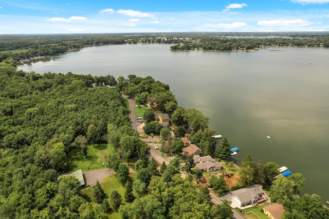 14144 Old Holt Ct, Chisago Lake Twp, MN 55045 - photo 17