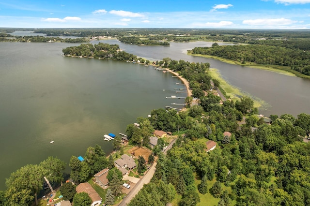 14144 Old Holt Ct, Chisago Lake Twp, MN 55045 - photo 18