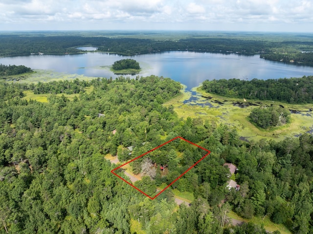 29163 Treasure Island Trail Way, Jackson Twp, WI 54830 - photo 3