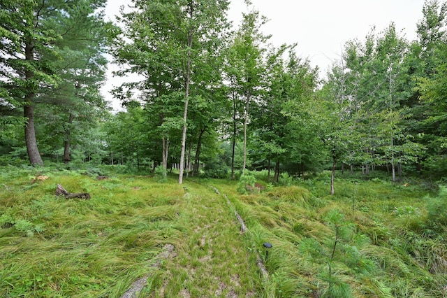 29163 Treasure Island Trail Way, Jackson Twp, WI 54830 - photo 44