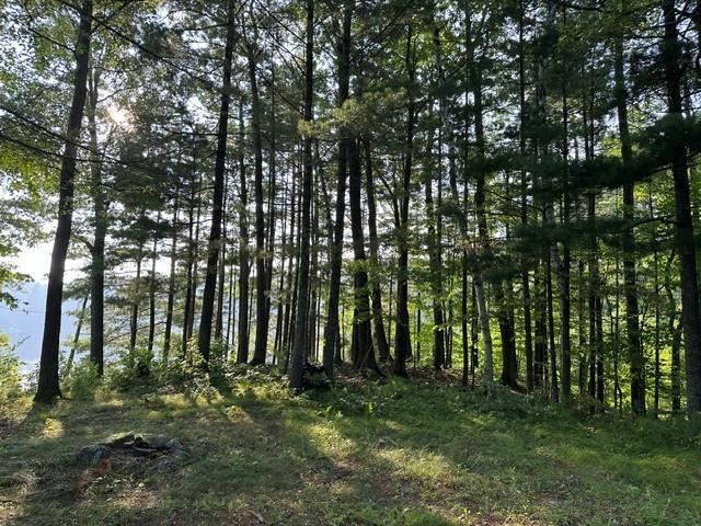 1151 27th Ave, Lakeland Twp, WI 54829 - photo 4