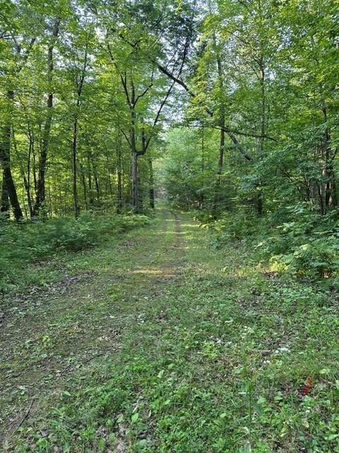 1151 27th Ave, Lakeland Twp, WI 54829 - photo 24