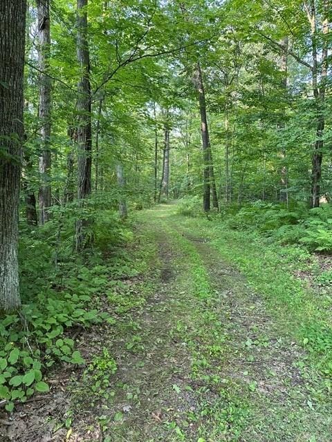 1151 27th Ave, Lakeland Twp, WI 54829 - photo 25