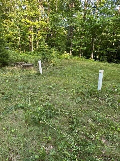 1151 27th Ave, Lakeland Twp, WI 54829 - photo 33