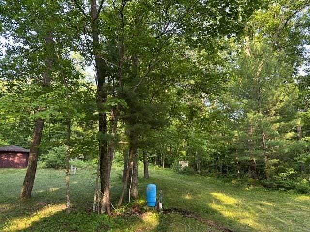 1151 27th Ave, Lakeland Twp, WI 54829 - photo 34