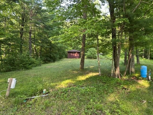 1151 27th Ave, Lakeland Twp, WI 54829 - photo 29