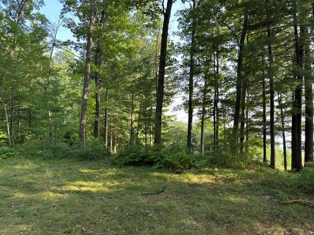 1151 27th Ave, Lakeland Twp, WI 54829 - photo 31