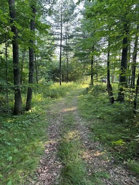 1151 27th Ave, Lakeland Twp, WI 54829 - photo 35